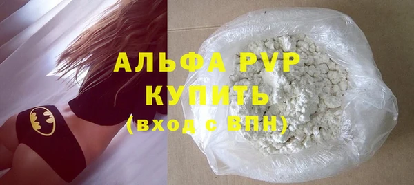 индика Новодвинск