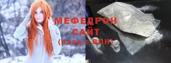 индика Новодвинск