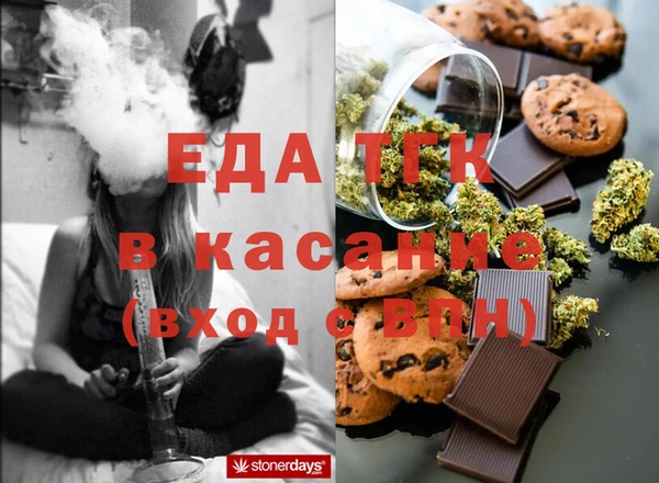 индика Новодвинск