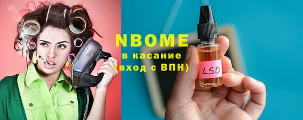 индика Новодвинск