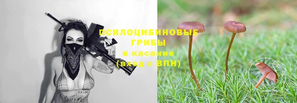 mdpv Новозыбков