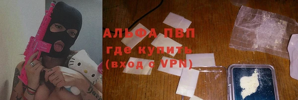 индика Новодвинск