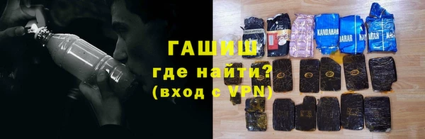 индика Новодвинск