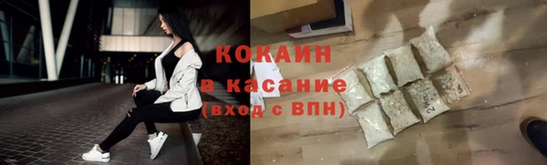 индика Новодвинск