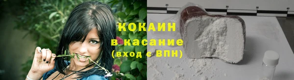 индика Новодвинск