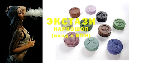 индика Новодвинск