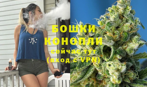 mdpv Новозыбков