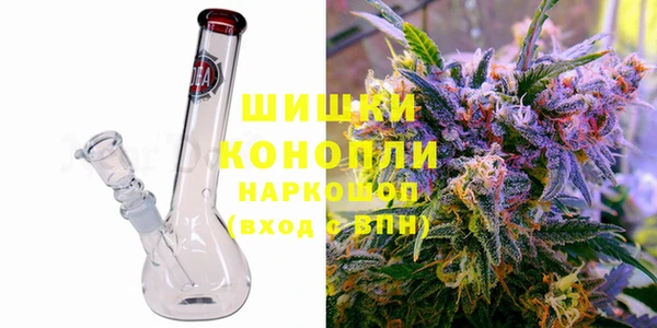 индика Новодвинск