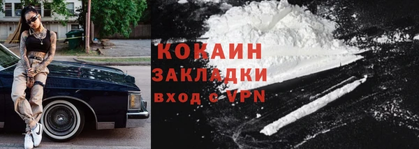 индика Железногорск-Илимский