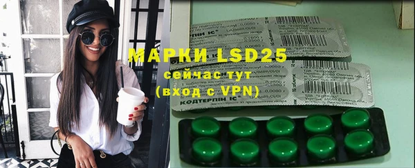 индика Новодвинск