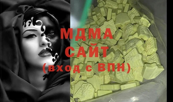 индика Новодвинск