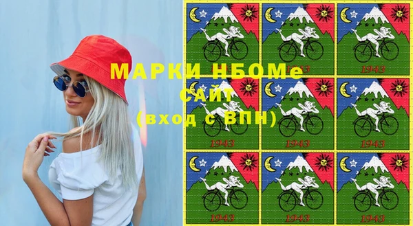 индика Новодвинск
