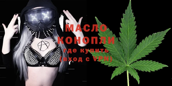 индика Новодвинск