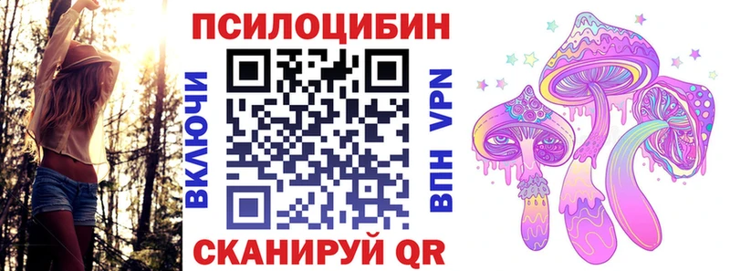 Псилоцибиновые грибы Psilocybe  Рыльск 